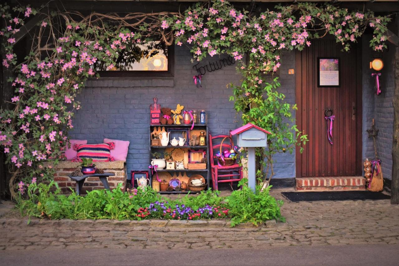 Maison Jeanny, Full House With Big Garden Frasnes-lez-Anvaing Bagian luar foto