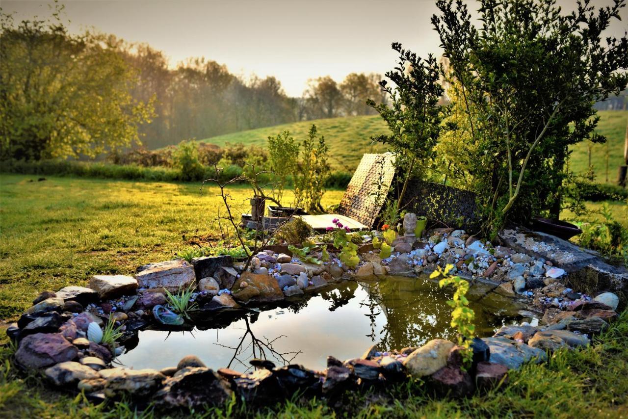 Maison Jeanny, Full House With Big Garden Frasnes-lez-Anvaing Bagian luar foto