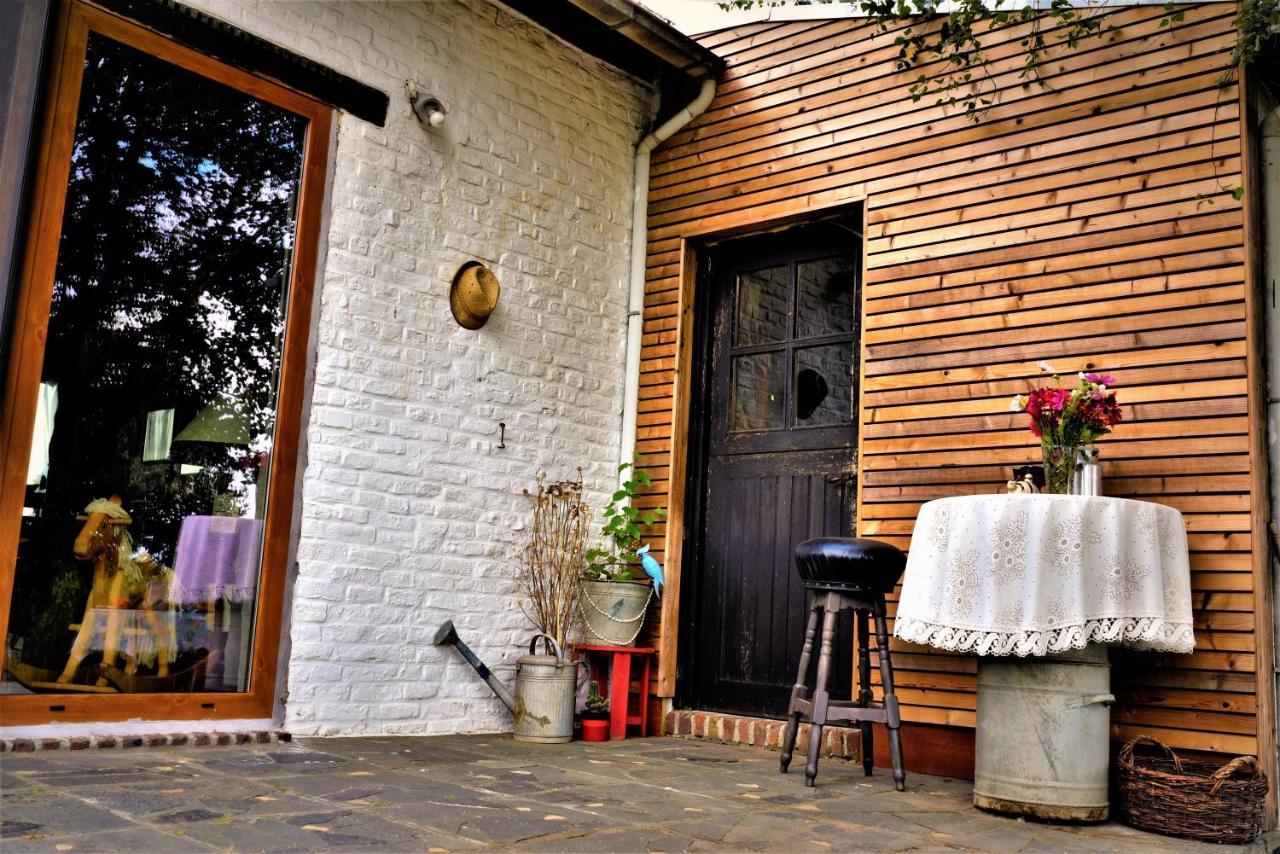 Maison Jeanny, Full House With Big Garden Frasnes-lez-Anvaing Bagian luar foto