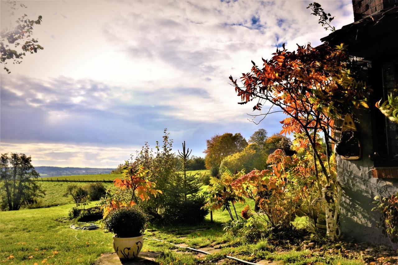Maison Jeanny, Full House With Big Garden Frasnes-lez-Anvaing Bagian luar foto