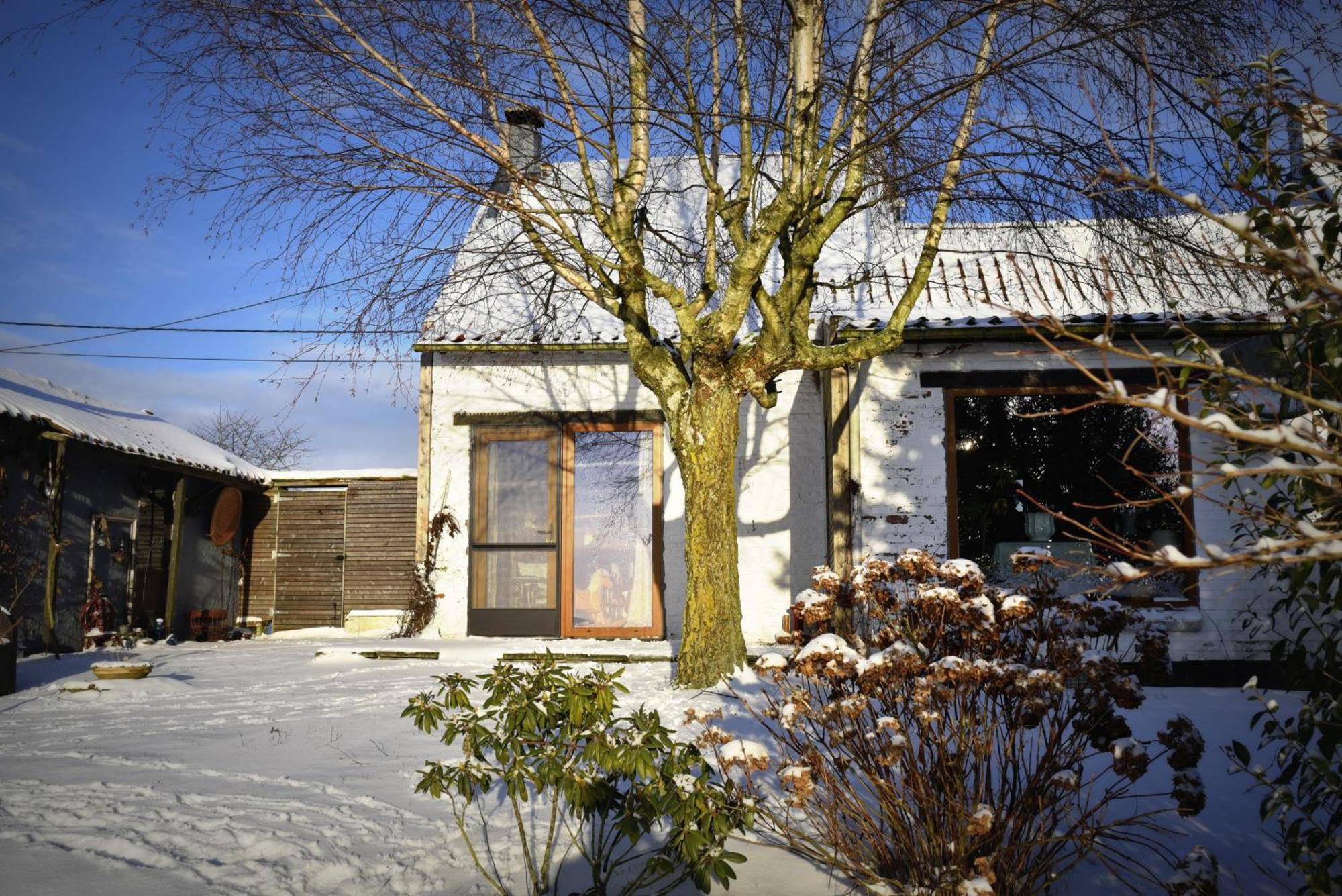 Maison Jeanny, Full House With Big Garden Frasnes-lez-Anvaing Bagian luar foto